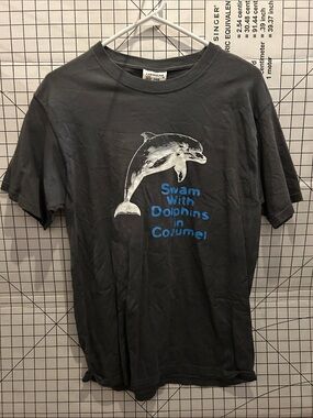 Caribbean Side Men's Charcoal Gray Dolphin Graphic Tee - Swim With Dolphins